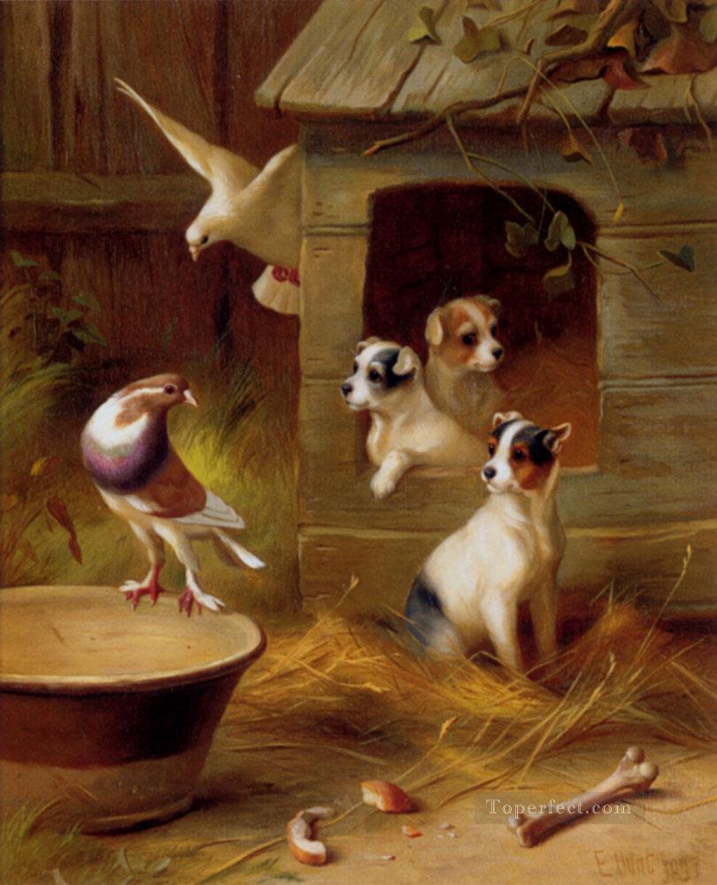 鳩と子犬の家禽家畜小屋 エドガー・ハント油絵